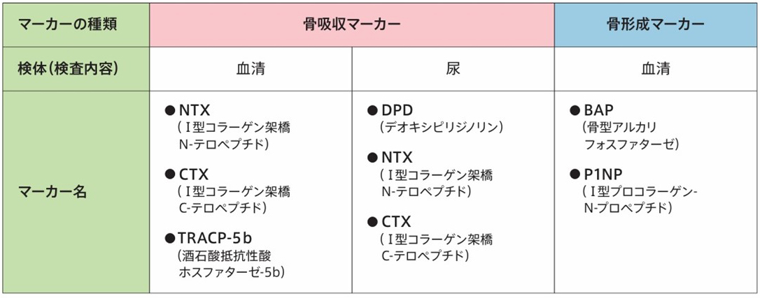 骨代謝マーカー